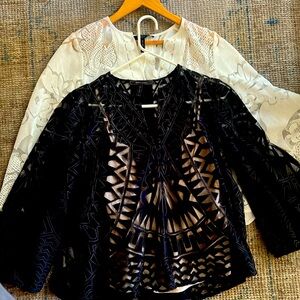 2 BCBG tops never worn but no tags.  Both come with slip for underneath tops.